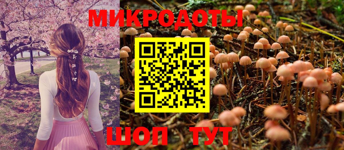 Галлюциногенные грибы прущие грибы Иваново